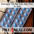 Kamagra 100 Mg Oral Jelly How To Use viagra4